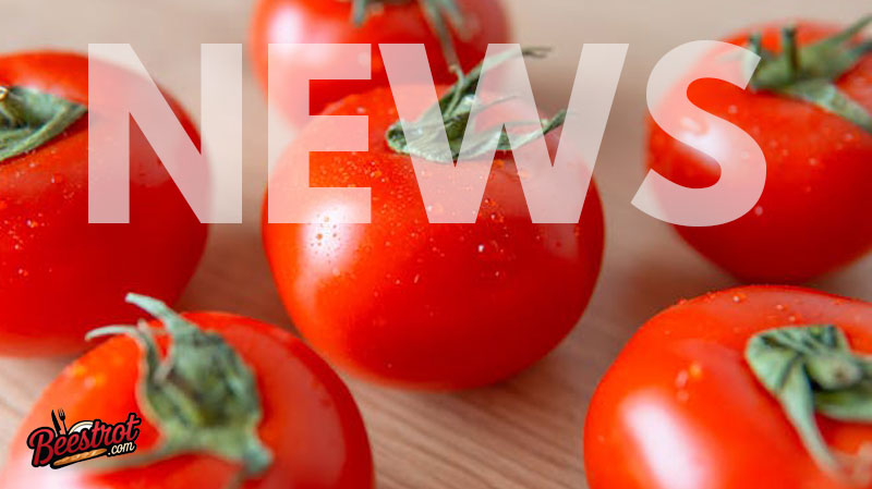 Tomato