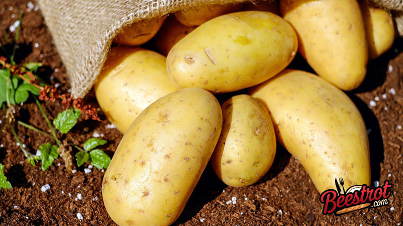 The Potato Changed the Course of European History. Without It the Industrial Revolution Probably Does Not Happen.